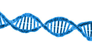 Read more about the article DNA New Focus Of 28-Year-Old Case