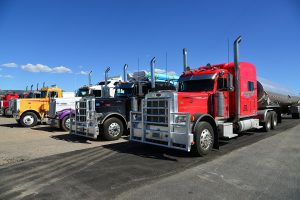Read more about the article Ocelot Acquisition Corp Has Just Filed A Registration As An SPAC