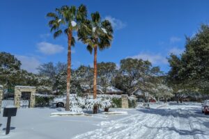 Insurance Companies Sue ERCOT Over Winter Storm Losses